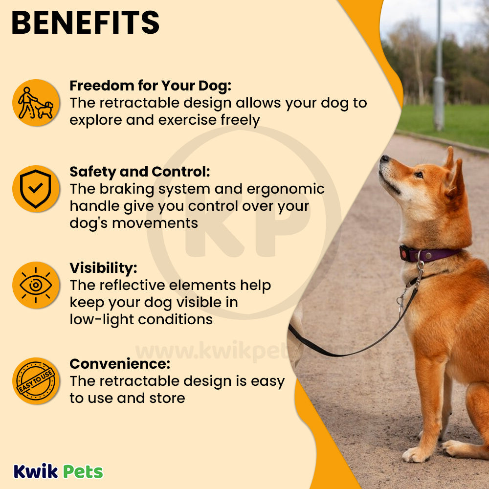 Flexi Classic Nylon Cord Dog Leash Black Large 16-ft Up To 132-lb