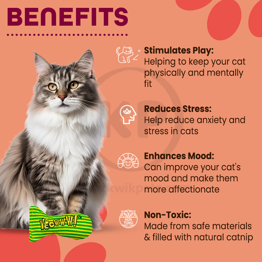 Yeowww! Stinkies Sardines Catnip Cat Toy Yellow & Green 3-in