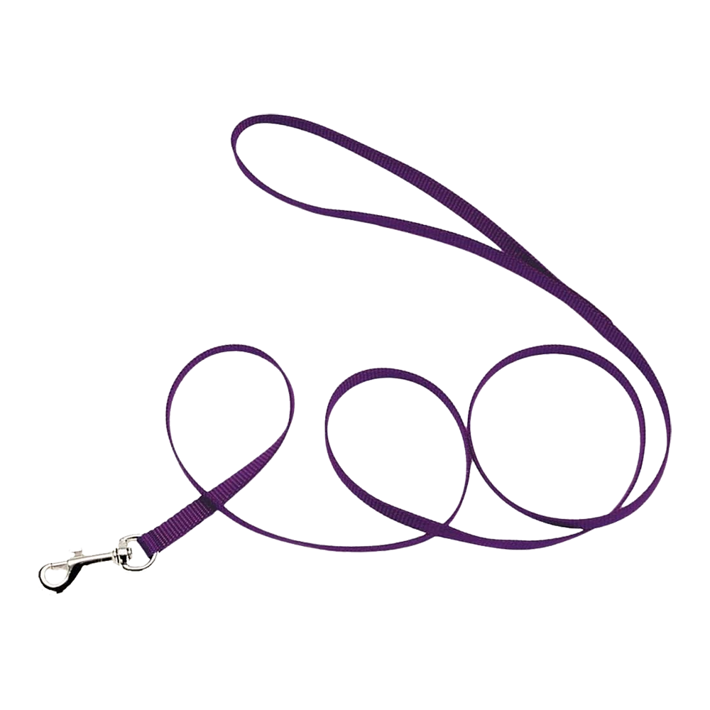 Coastal Single-Ply Nylon Dog Leash Purple 3/8 in X 6 ft