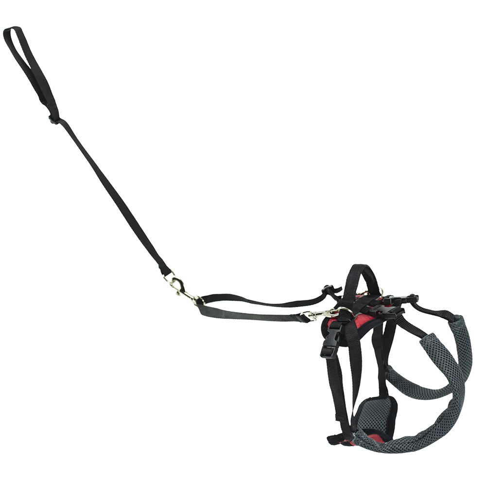 PetSafe CareLift Rear Support Dog Harness Black & Red Small
