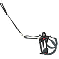 PetSafe CareLift Rear Support Dog Harness Black & Red Small