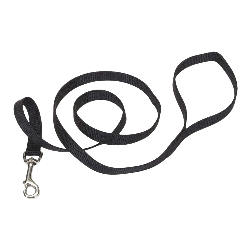 Coastal Single-Ply Nylon Dog Leash Black 3/8 in X 6 ft