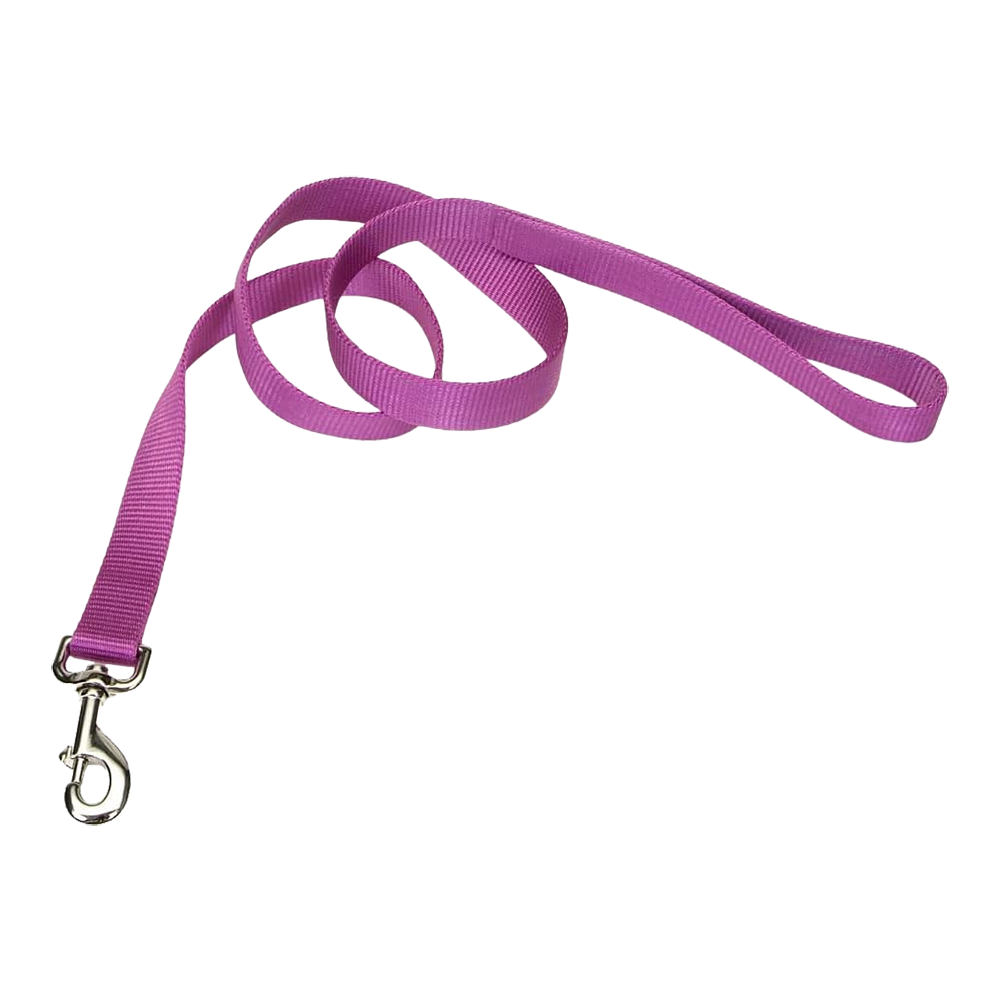 Coastal Single-Ply Nylon Dog Leash Orchid 1 in X 6 ft