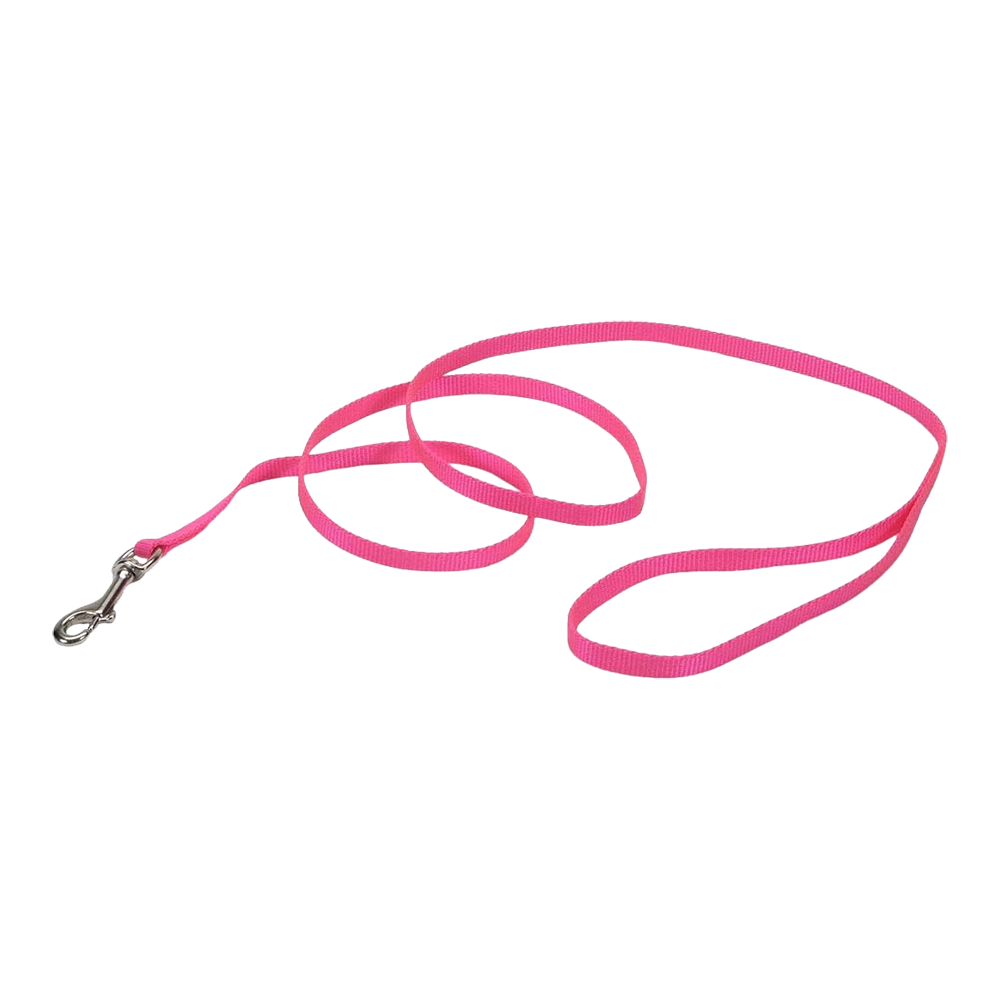 Coastal Single-Ply Nylon Dog Leash Pink Bright 5/8 in X 6 ft