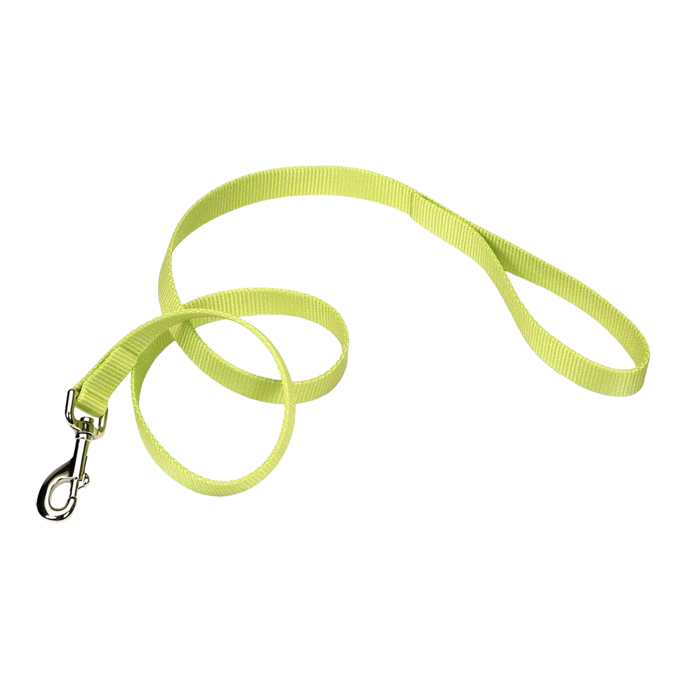 Coastal Single-Ply Nylon Dog Leash Lime 1 in X 6 ft