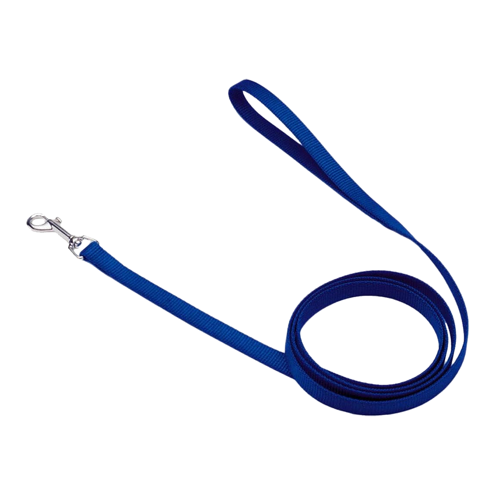 Coastal Single-Ply Nylon Dog Leash Blue 5/8 in X 6 ft