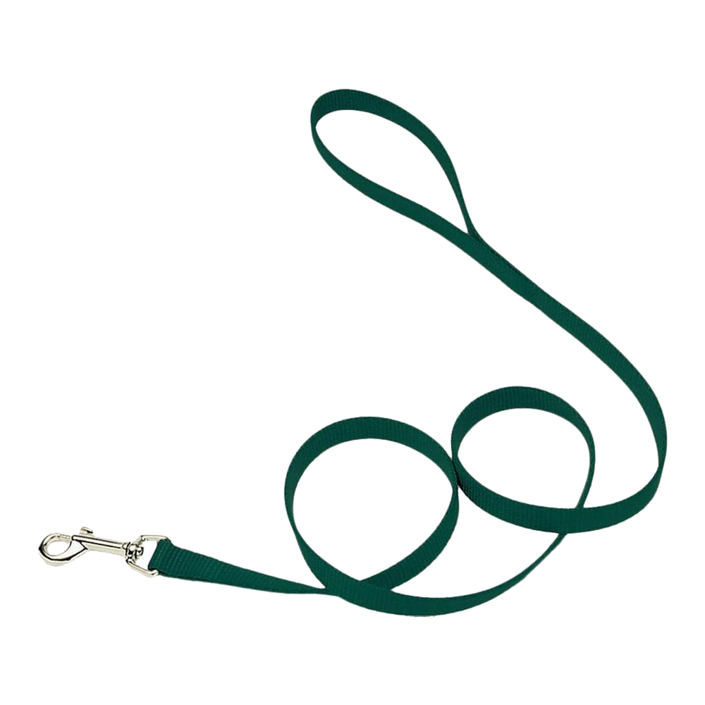 Coastal Single-Ply Nylon Dog Leash Hunter Green 5/8 in X 6 ft