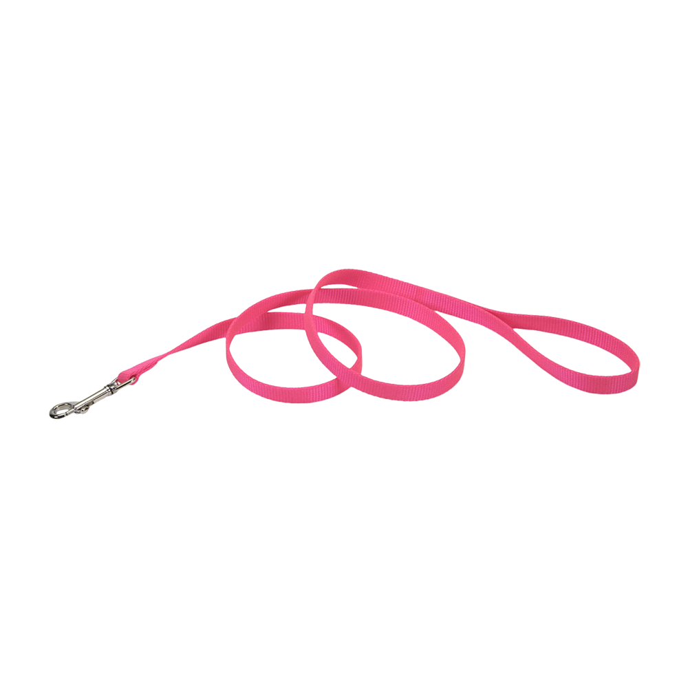 Coastal Single-Ply Nylon Dog Leash Neon Pink 3/8 in X 6 ft