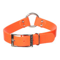 Remington Waterproof Hound Dog Collar with Center Ring Orange 1 in X 22 in