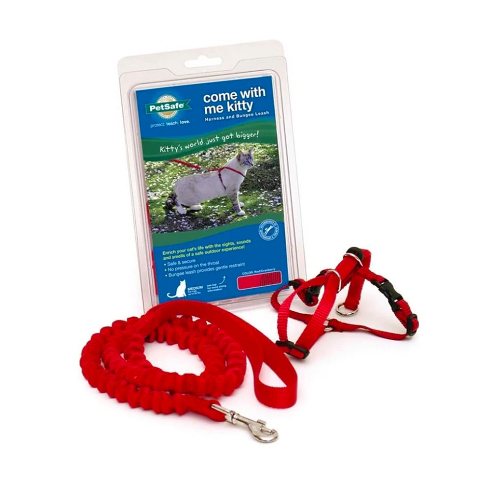 PetSafe Premier Come With Me Kitty Harness & Bungee Leash Combo Red/Cranberry Medium