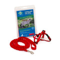 PetSafe Premier Come With Me Kitty Harness & Bungee Leash Combo Red/Cranberry Medium