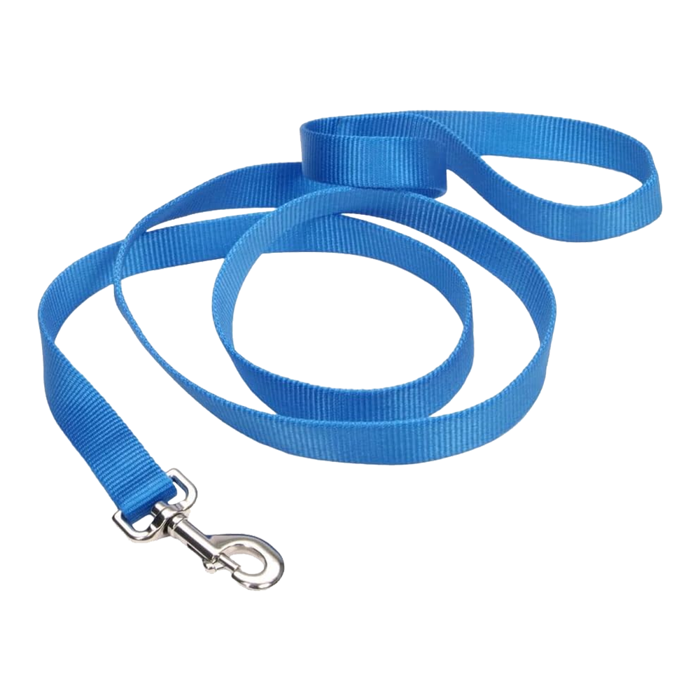 Coastal Single-Ply Nylon Dog Leash Blue 1 in X 6 ft