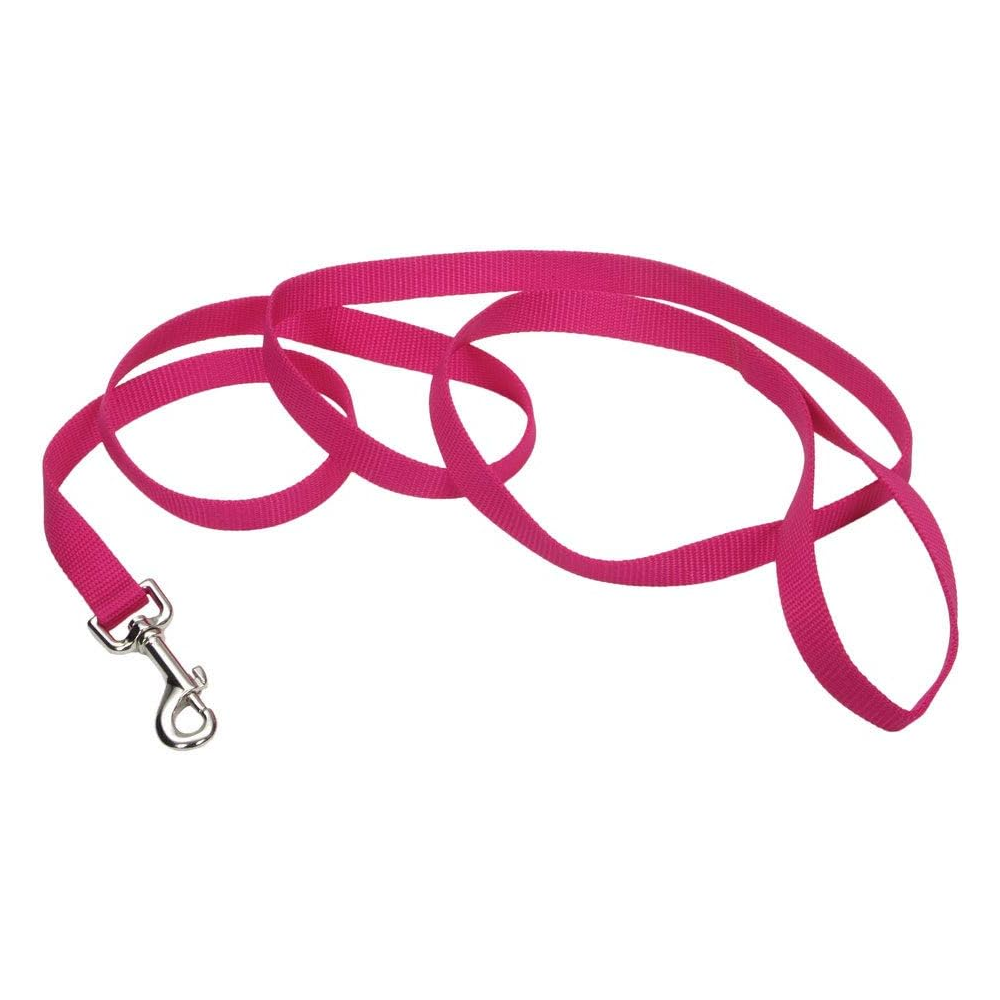 Coastal Single-Ply Nylon Dog Leash Pink Flamingo 1 in X 6 ft