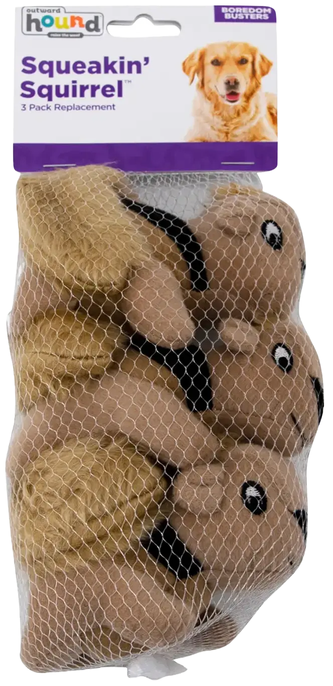 Outward Hound Squeekin' Animals Dog Toy Squirrel 3 Count