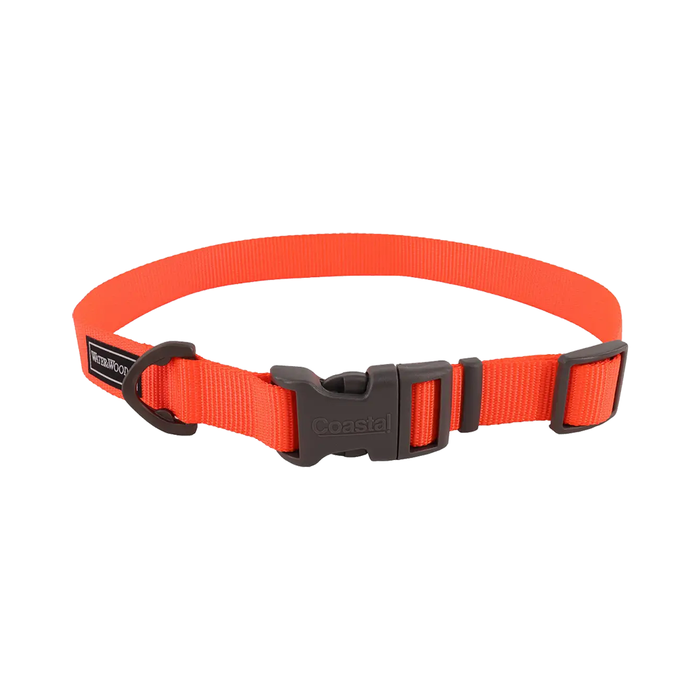 Coastal Water & Woods Adjustable Dog Collar Safety Orange 18-26 in