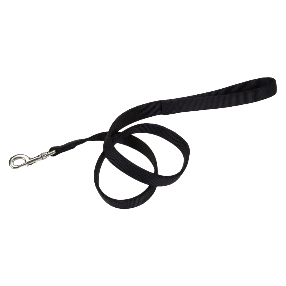 Coastal Double-Ply Nylon Dog Leash Black 1 in X 6 ft
