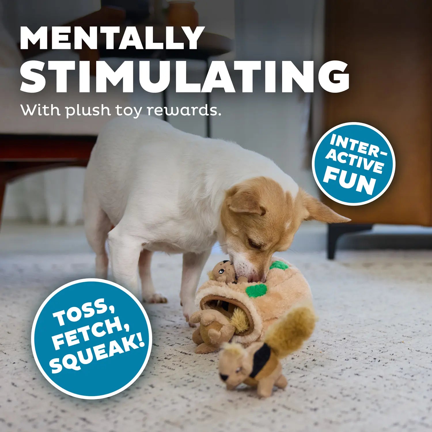 Outward Hound Hide-A-Squirrel Dog Toy Small