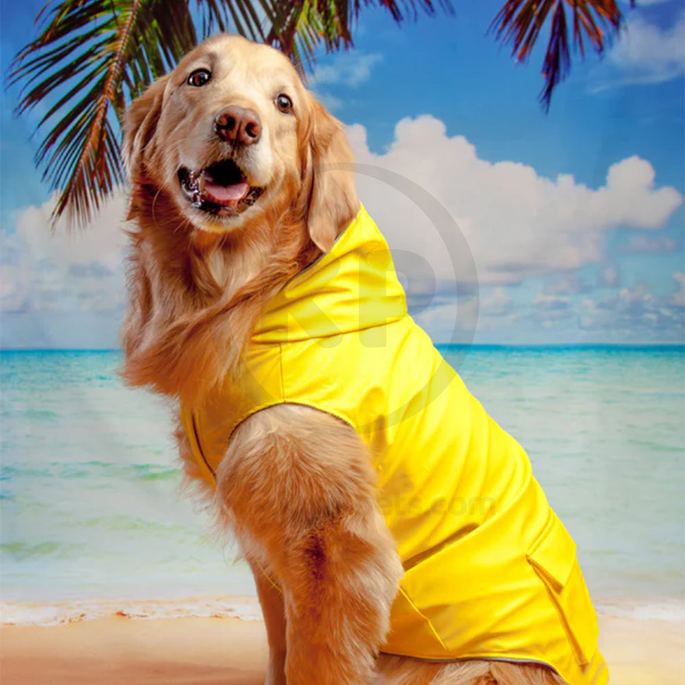 Canada Pooch Dog Torrential Tracker Yellow 16