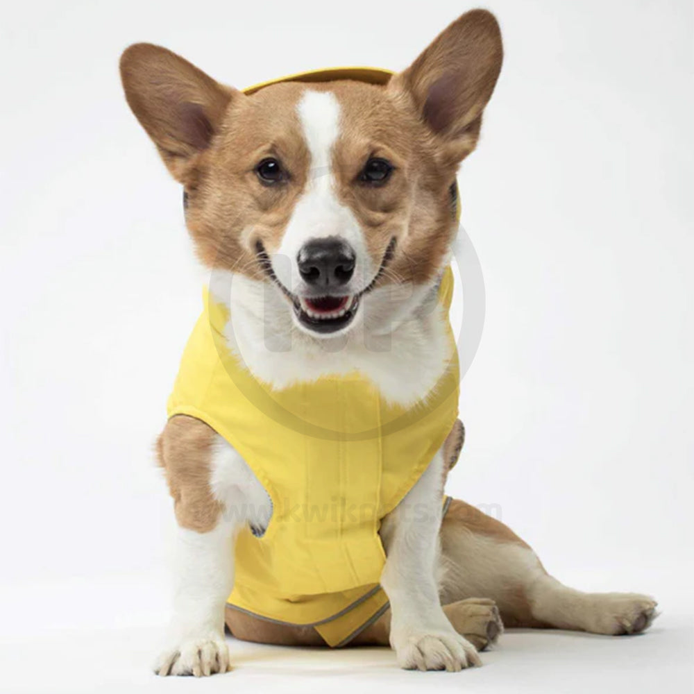 Canada Pooch Dog Torrential Tracker Yellow 16