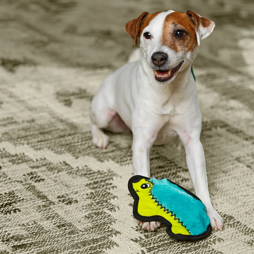 Outward Hound Invincibles Mini Dog Toy Hedgehog XS