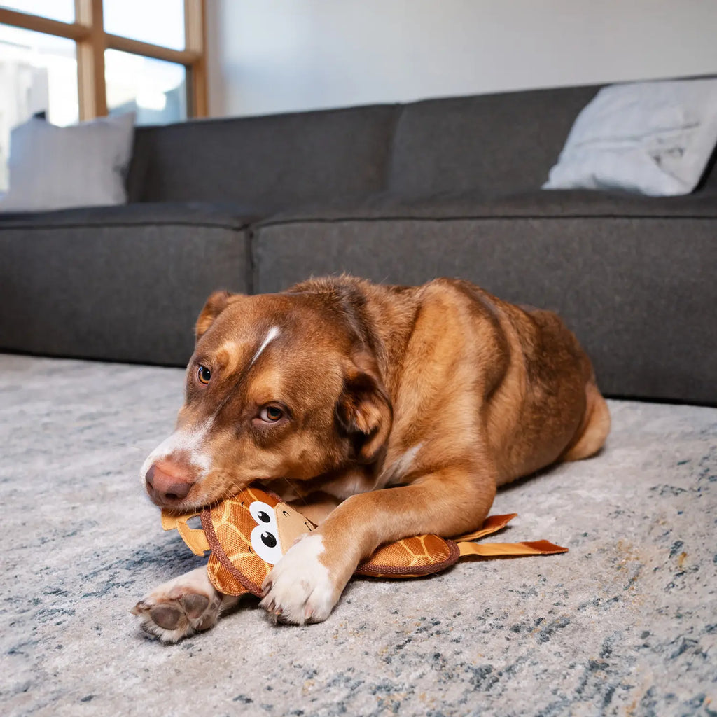 Outward Hound Fire Biterz Giraffe Firehose Plush Dog Toy Brown Medium