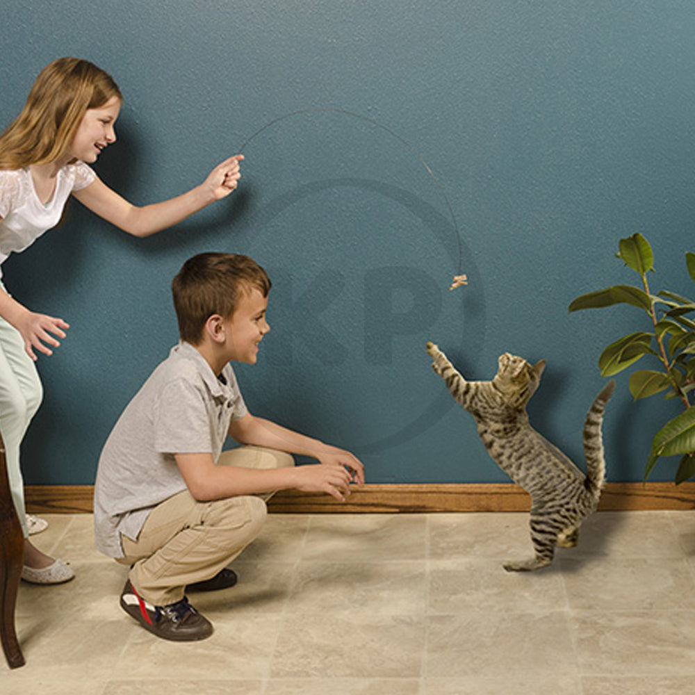 Cat Dancer Products Interactive Cat Toy Brown One Size