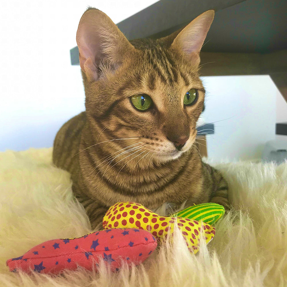 Yeowww! Stinkies Sardines Catnip Cat Toy Red & Blue 3-in