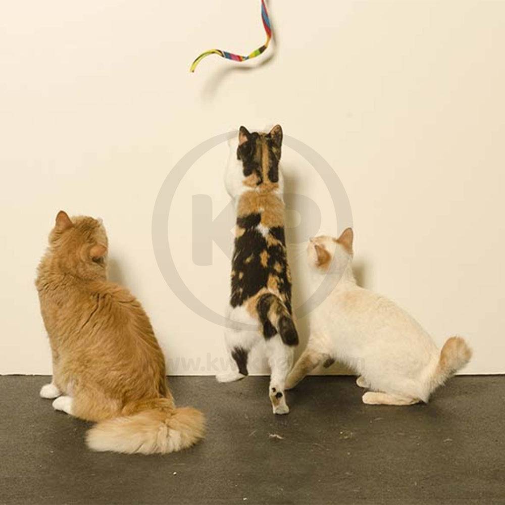 Cat Dancer Products Charmer Cat Toy Multicolor One Size