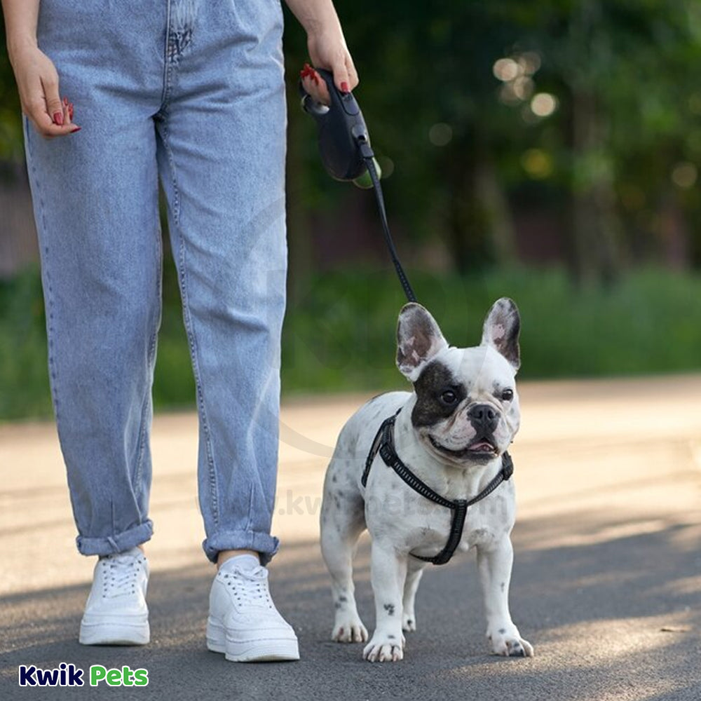 Flexi Classic Nylon Cord Dog Leash Black Large 16-ft Up To 132-lb