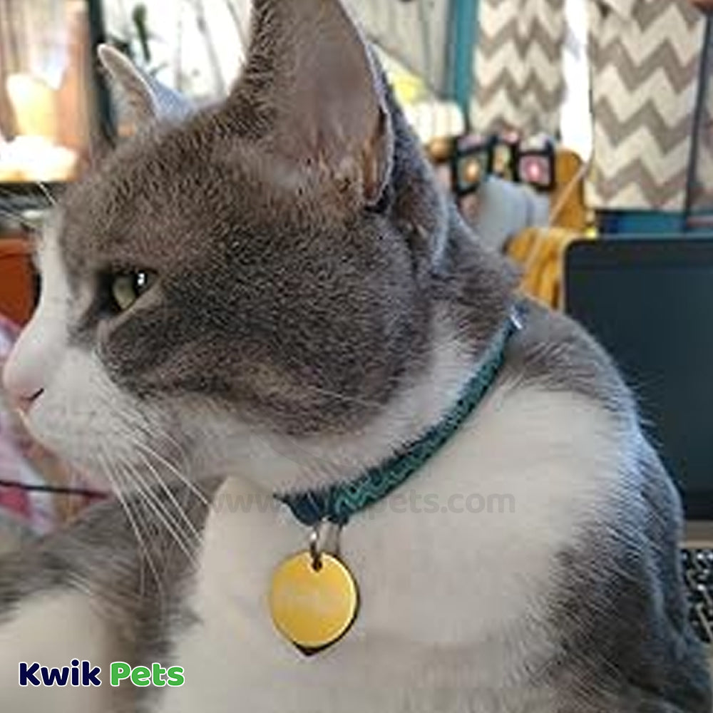 Aspen Pet Breakaway Fashion Collar 3/8" X 8-12" Sub Geo Blue