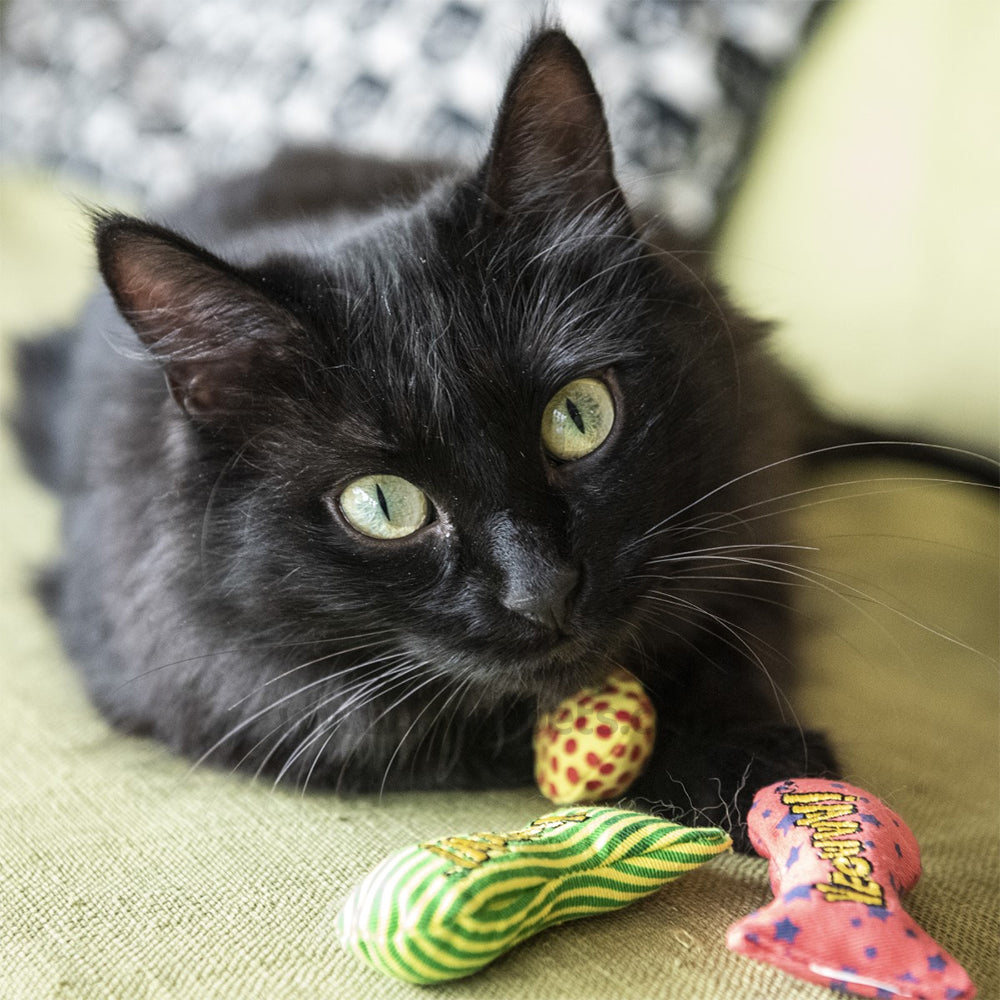 Yeowww! Stinkies Sardines Catnip Cat Toy Yellow & Red 3-in