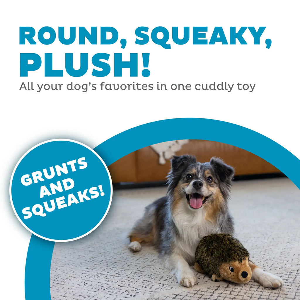 Outward Hound Hedgehog Dog Toy Medium