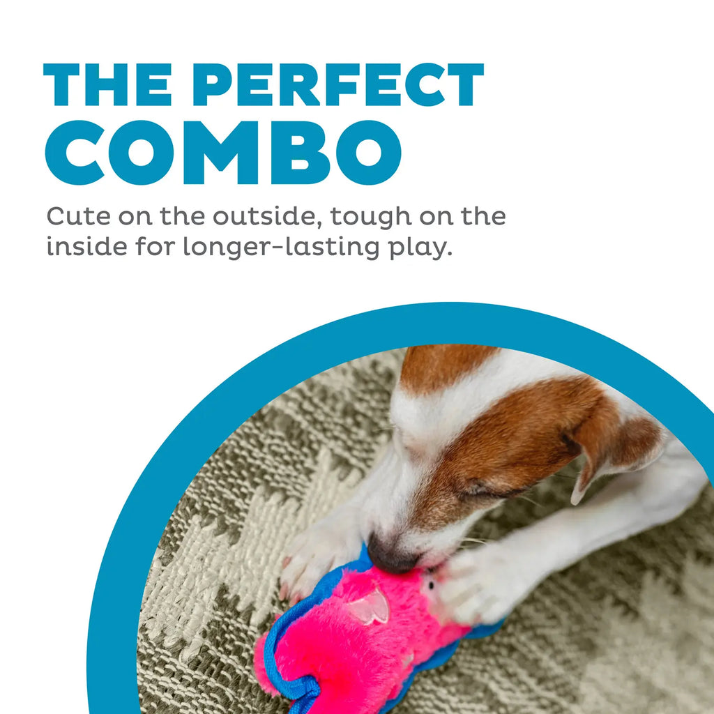 Outward Hound Invincibles Mini Dog Toy Pig XS