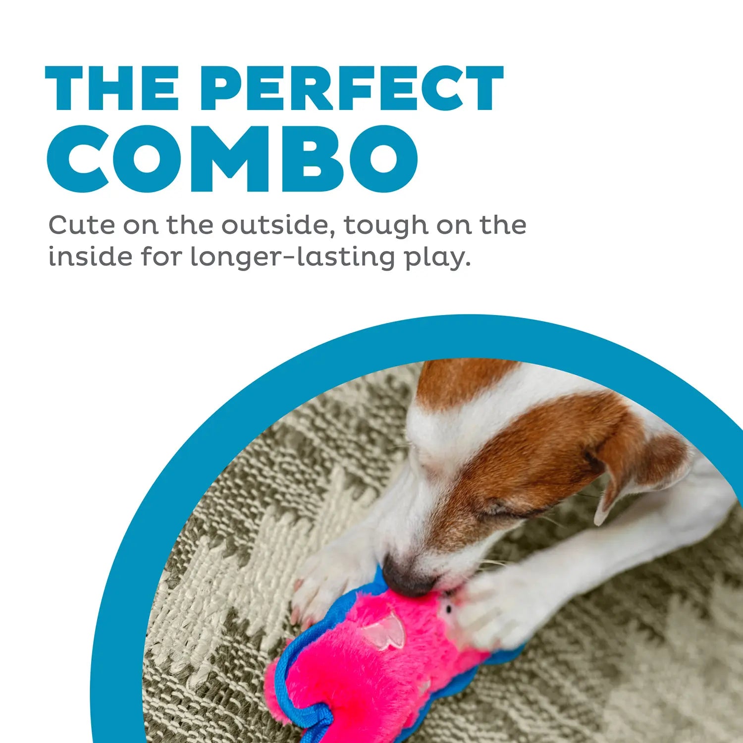 Outward Hound Invincibles Mini Dog Toy Pig XS