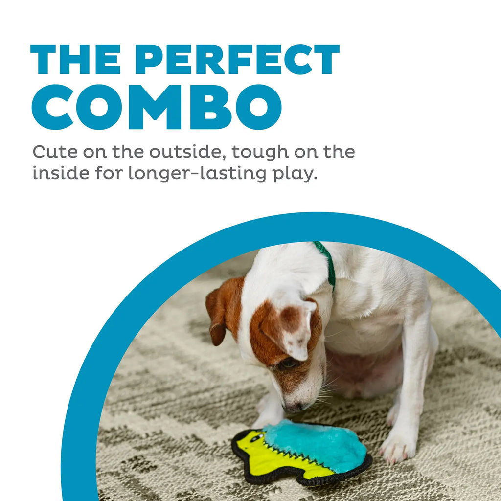 Outward Hound Invincibles Mini Dog Toy Hedgehog XS