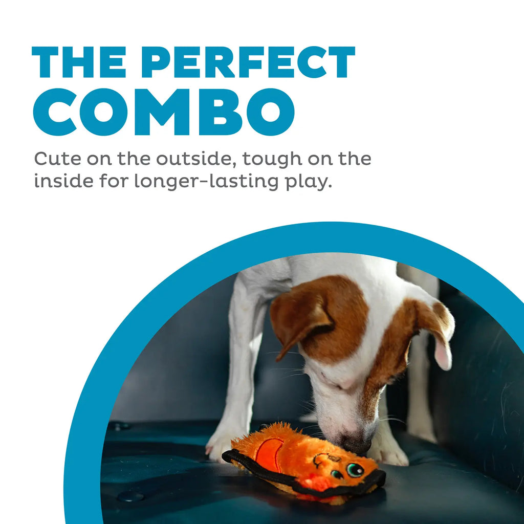 Outward Hound Invincibles Mini Dog Toy Dog XS