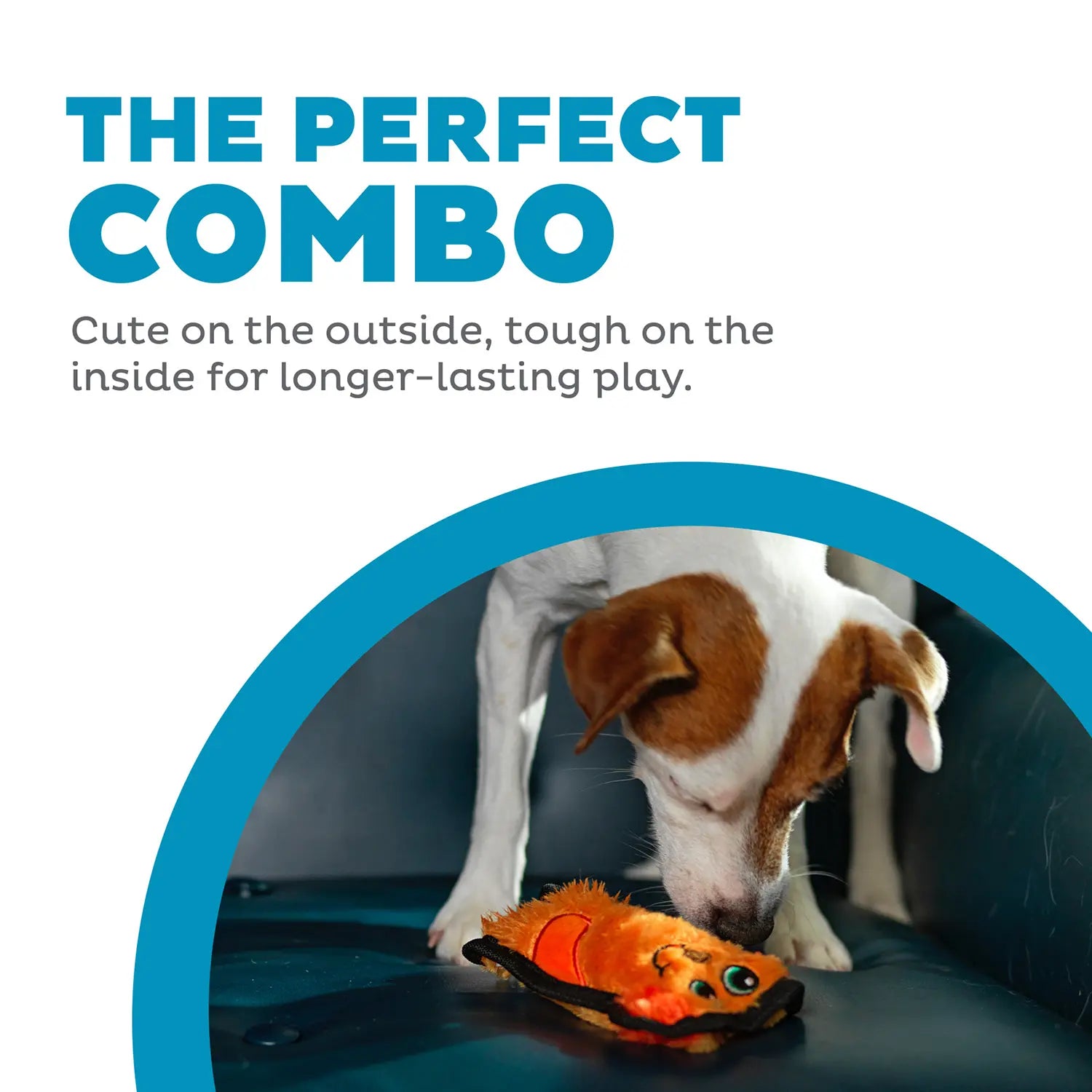 Outward Hound Invincibles Mini Dog Toy Dog XS