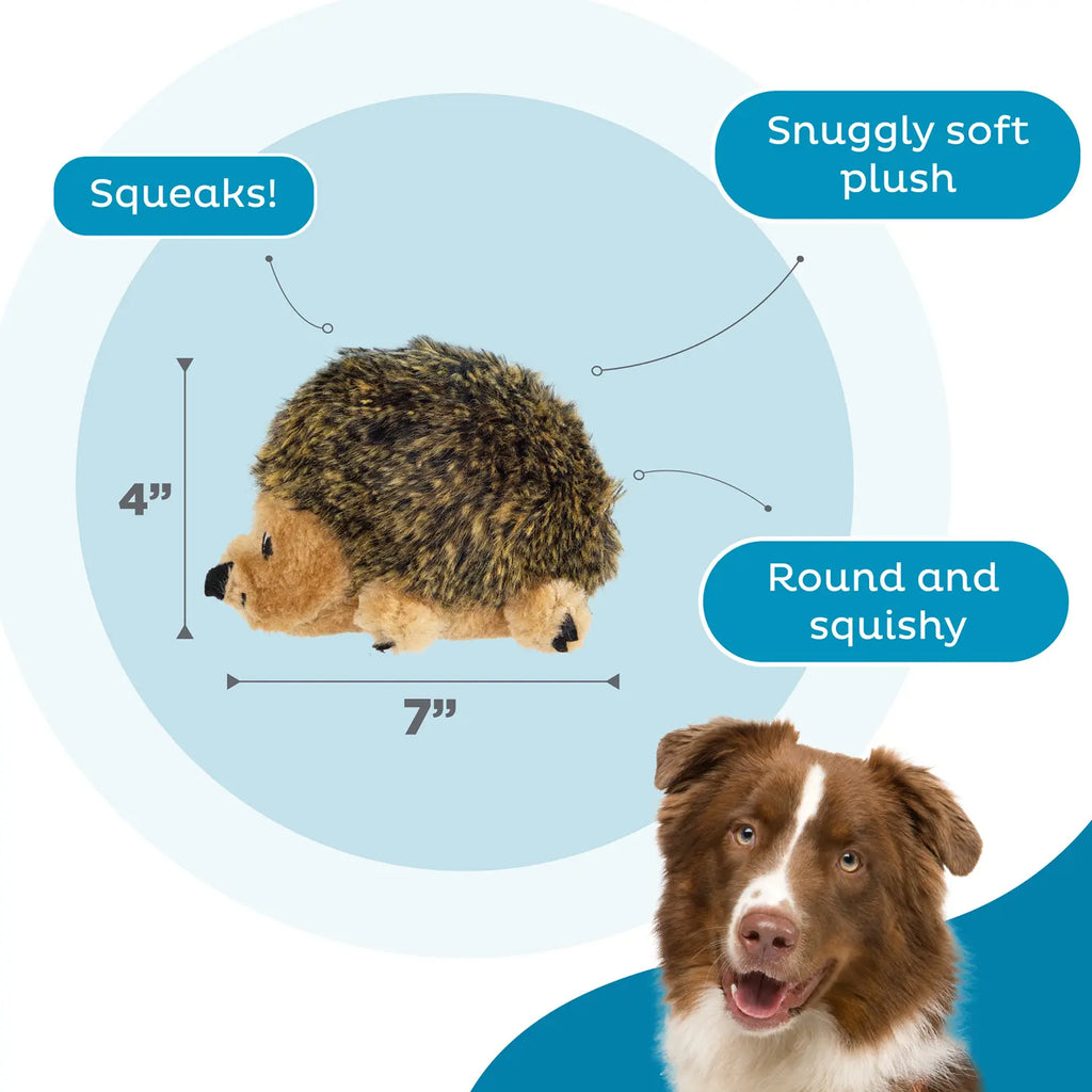 Outward Hound Hedgehog Dog Toy Small