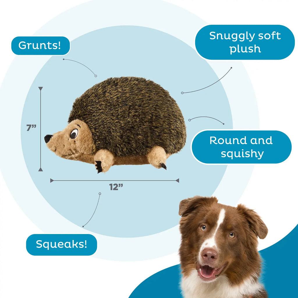 Outward Hound Hedgehog Dog Toy Large