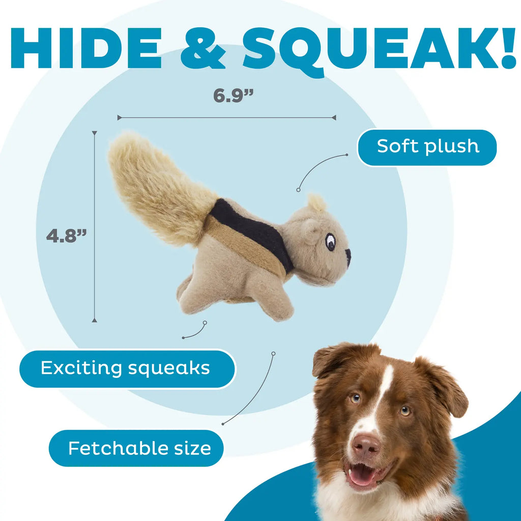 Outward Hound Squeekin' Animals Dog Toy Squirrel 3 Count