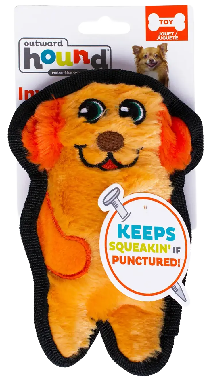 Outward Hound Invincibles Mini Dog Toy Dog XS