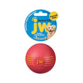 JW Pet iSqueak Ball Dog Toy Assorted Medium