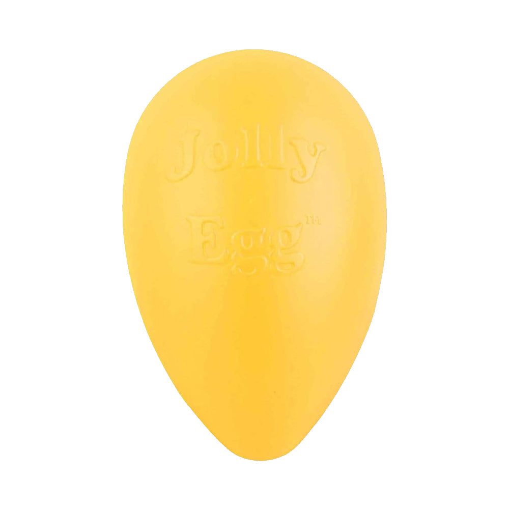 Jolly Pet Egg Hard Plastic Dog Toy Yellow Large 12-in