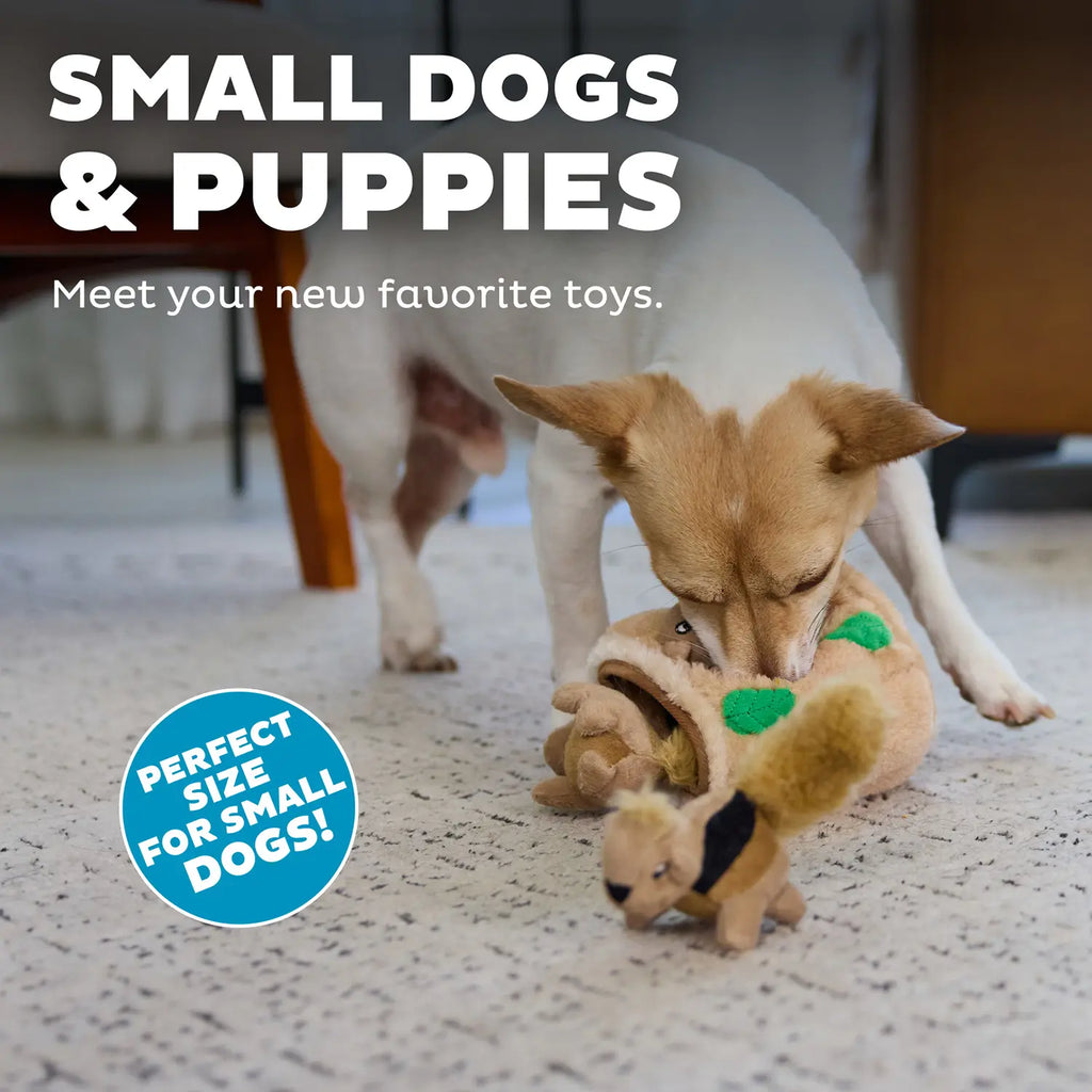 Outward Hound Squeekin' Animals Dog Toy Squirrel 3 Count