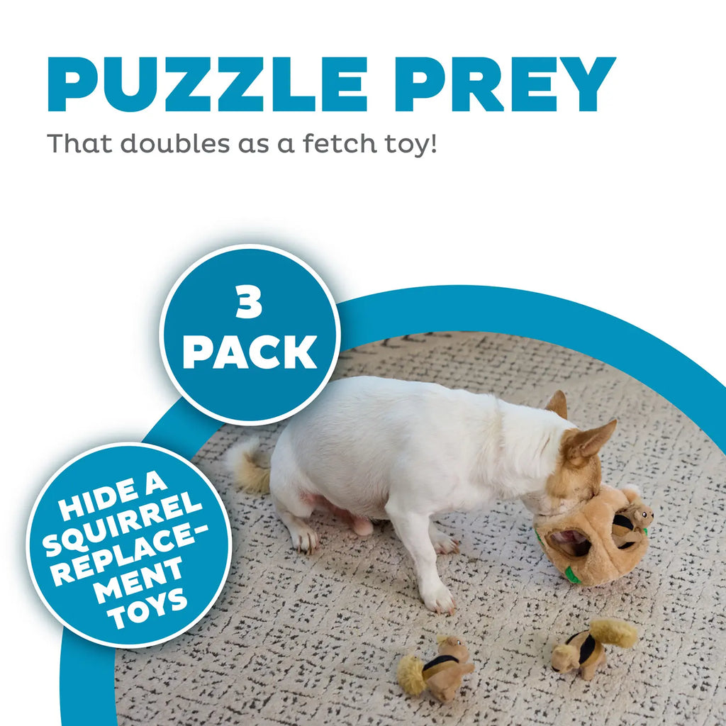 Outward Hound Squeekin' Animals Dog Toy Squirrel 3 Count