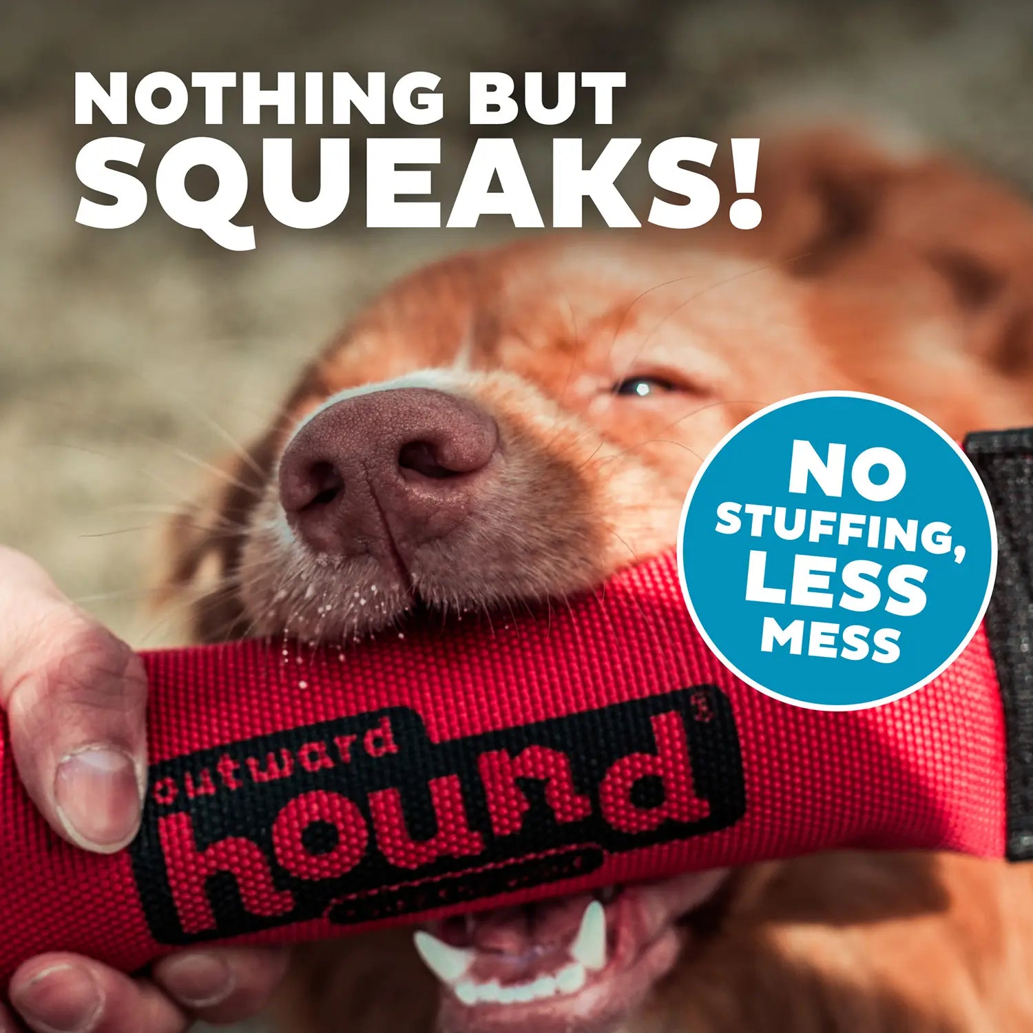 Outward Hound Firehose Squeak N Fetch Dog Toy Large