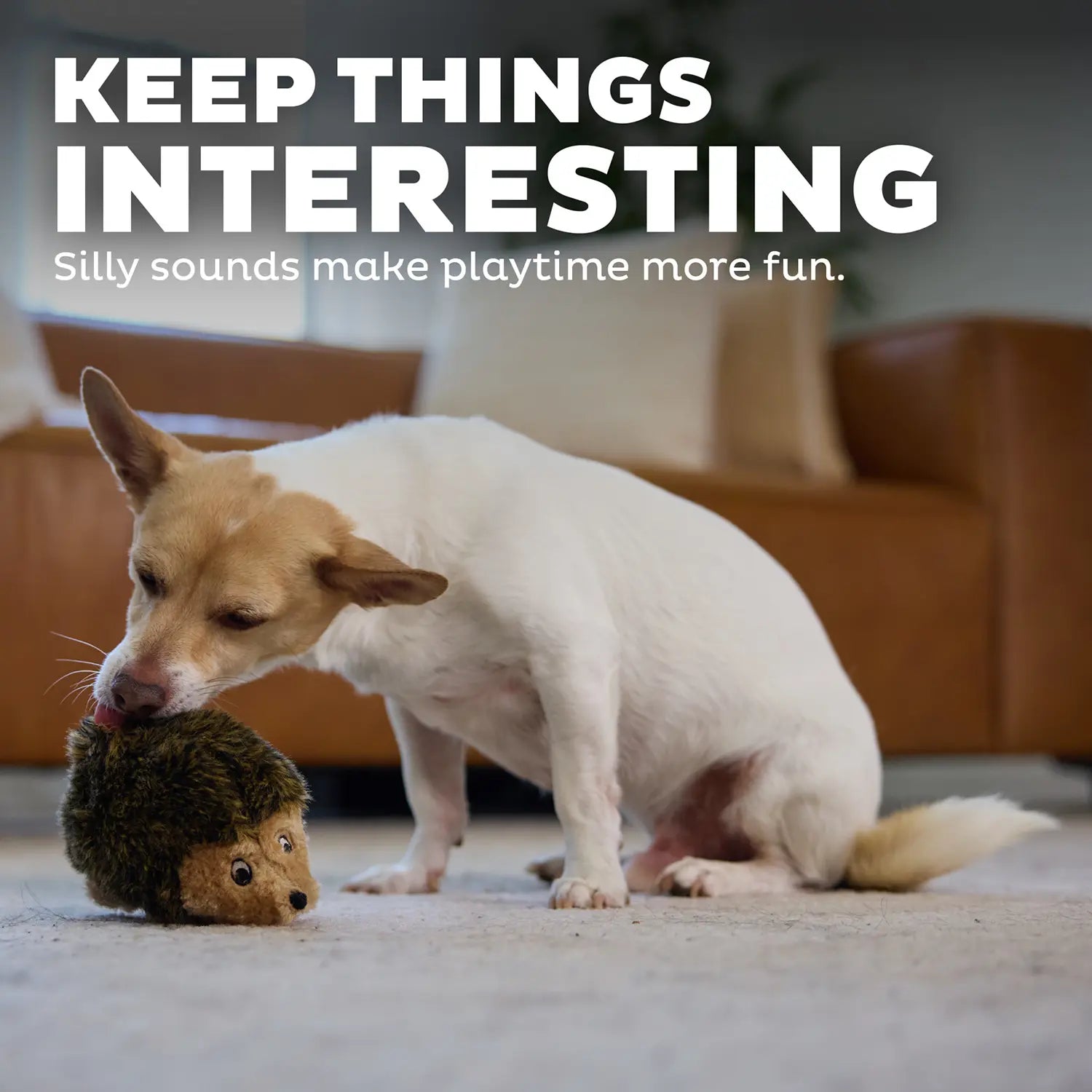 Outward Hound Hedgehog Dog Toy Small