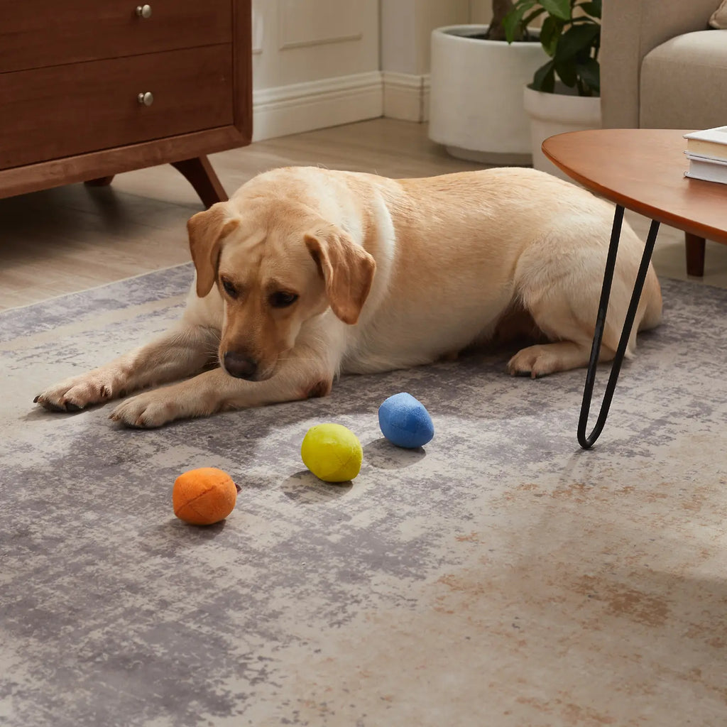 Outward Hound Squeakin' Eggs Plush Replacement Dog Toys 3 Count