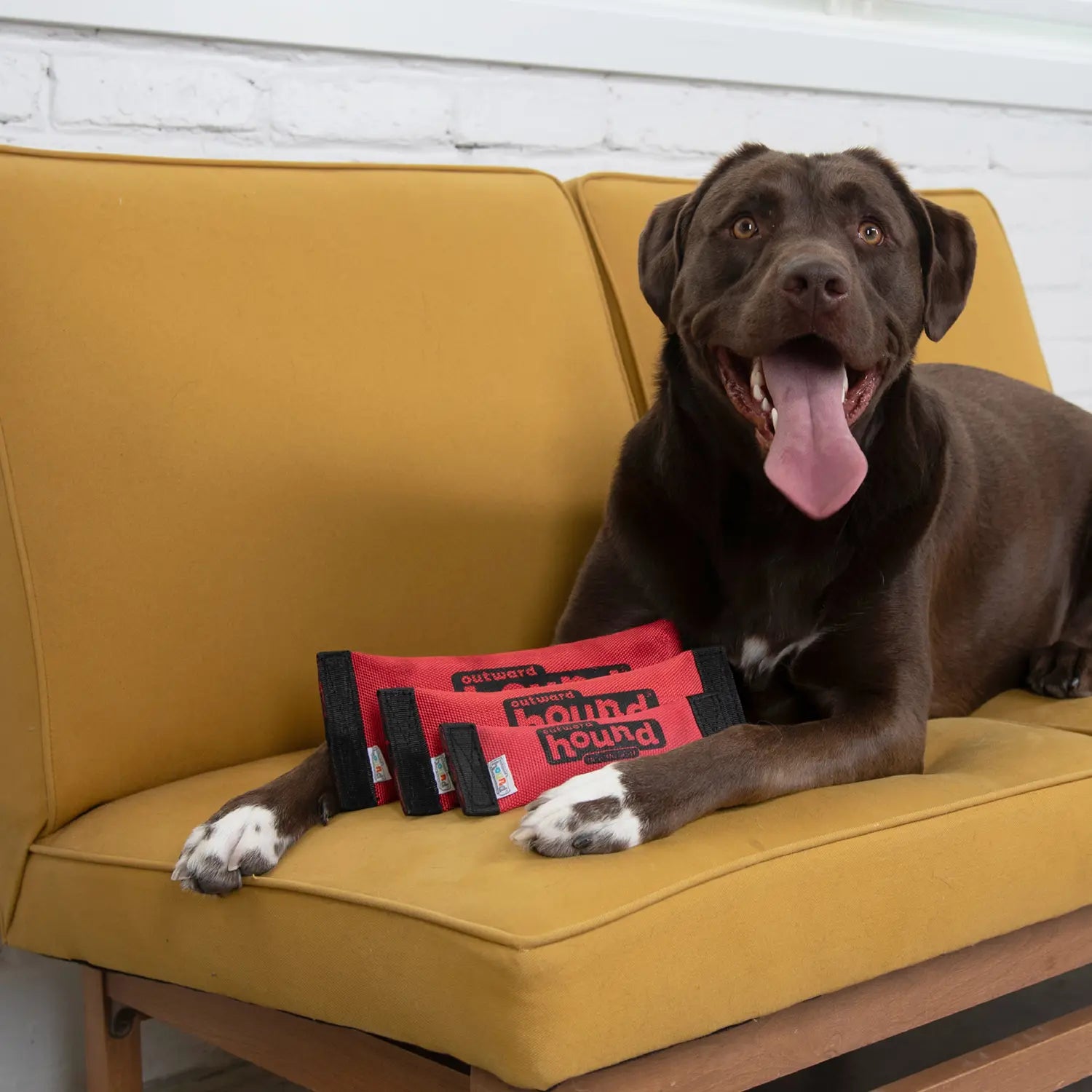 Outward Hound Firehose Squeak N Fetch Dog Toy Large