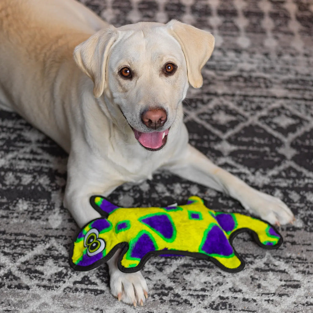 Outward Hound Invincibles Durablez Gecko Dog Toy Yellow & Green Large
